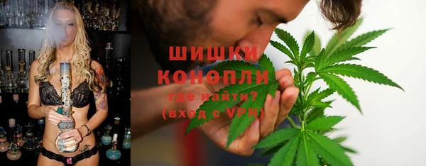 ПСИЛОЦИБИНОВЫЕ ГРИБЫ Елизово