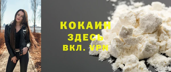 мет Бердск