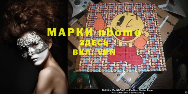 амф Ельня