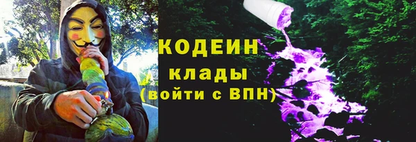 ПСИЛОЦИБИНОВЫЕ ГРИБЫ Елизово