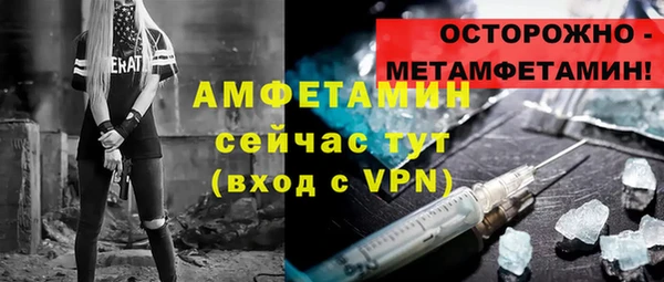 амф Ельня