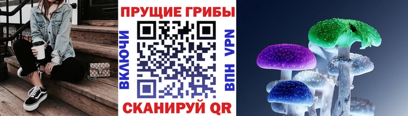Псилоцибиновые грибы GOLDEN TEACHER  Зеленогорск 