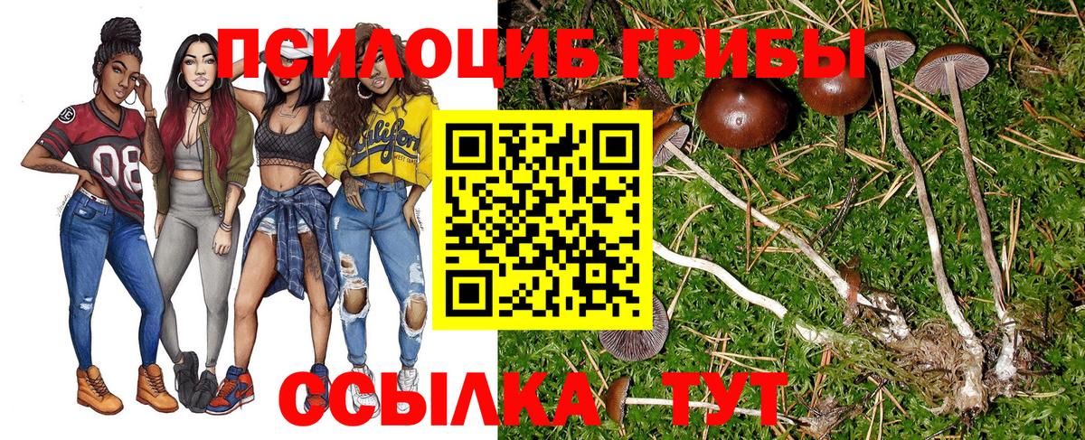 Галлюциногенные грибы MAGIC MUSHROOMS Зеленогорск