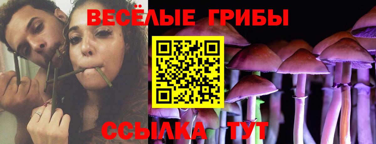 Псилоцибиновые грибы прущие грибы Зеленогорск