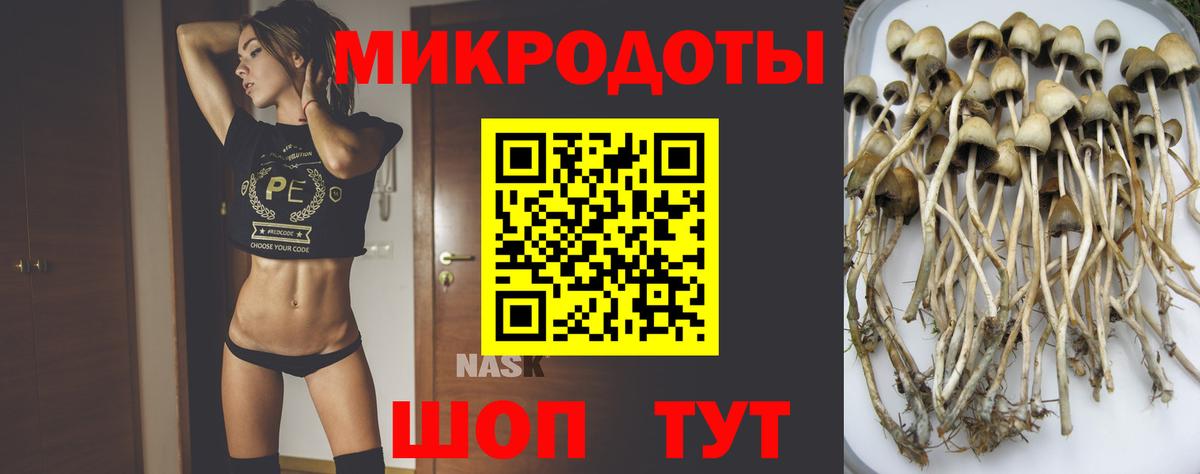 Галлюциногенные грибы Psilocybe  Галлюциногенные грибы ЛСД  Вход с VPN  Зеленогорск 