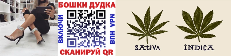купить   Зеленогорск  Бошки Шишки план 