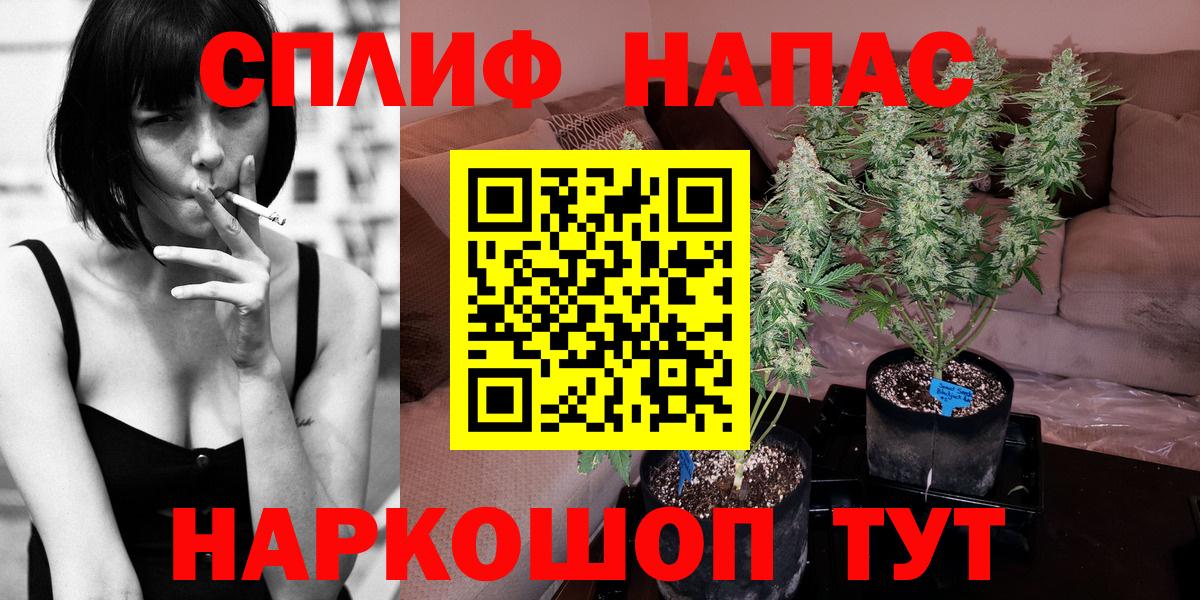 Шишки марихуана планчик  Вход с VPN  Зеленогорск  Каннабис Bruce Banner  Канабис MAZAR  Марихуана Amnesia 